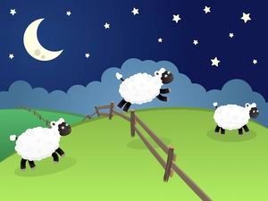 どうして眠れない夜は羊を数えるの？.jpg